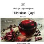 Hibiskus Çayı 100 gr 1 kalite